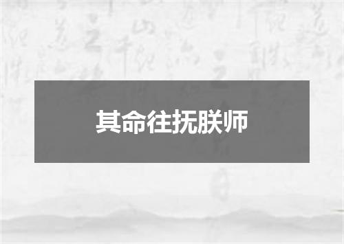 其命往抚朕师
