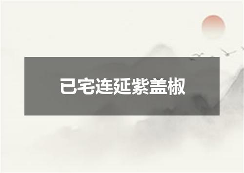已宅连延紫盖椒