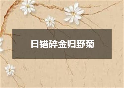 日错碎金归野菊