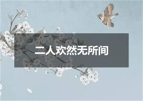 二人欢然无所间