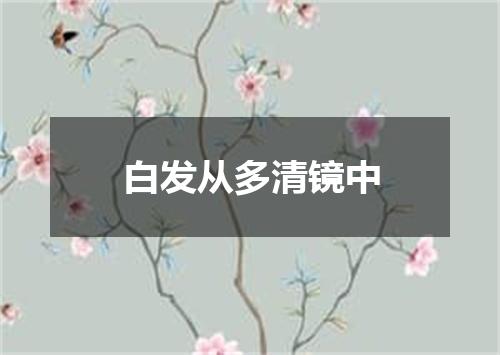 白发从多清镜中