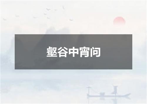 壑谷中宵问