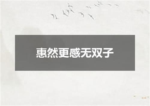 惠然更感无双子