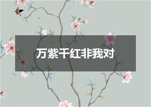 万紫千红非我对