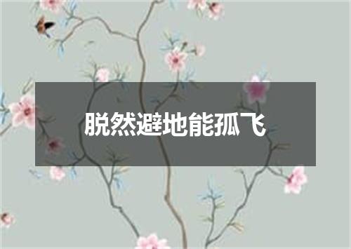 脱然避地能孤飞
