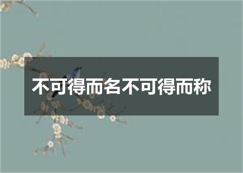 不可得而名不可得而称
