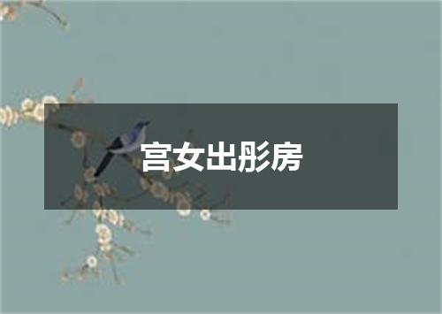宫女出彤房
