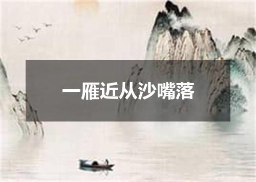 一雁近从沙嘴落