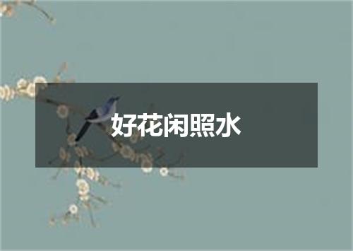 好花闲照水
