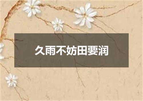 久雨不妨田要润