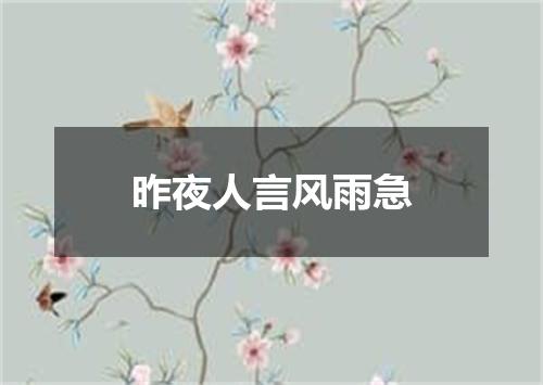 昨夜人言风雨急