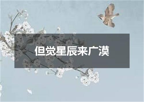 但觉星辰来广漠