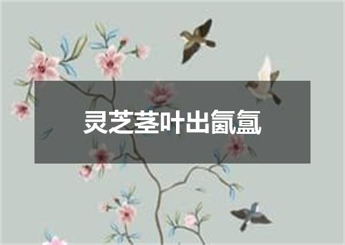 灵芝茎叶出氤氲