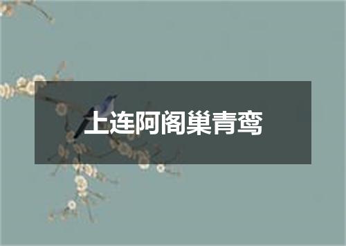 上连阿阁巢青鸾