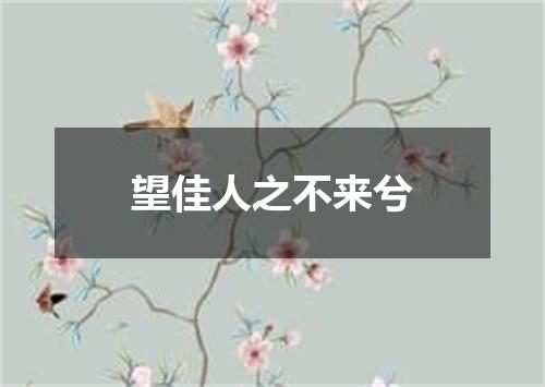 望佳人之不来兮