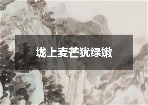 垅上麦芒犹绿嫩