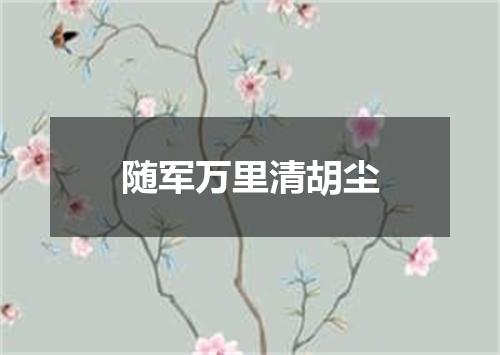 随军万里清胡尘