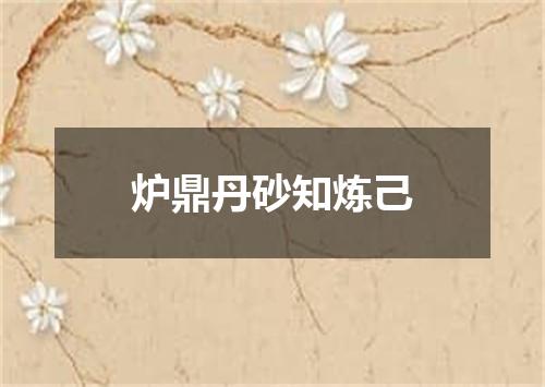炉鼎丹砂知炼己