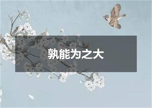 孰能为之大