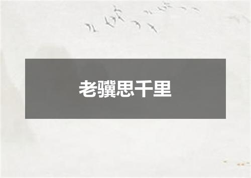 老骥思千里