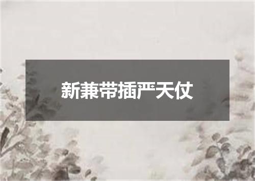新兼带插严天仗