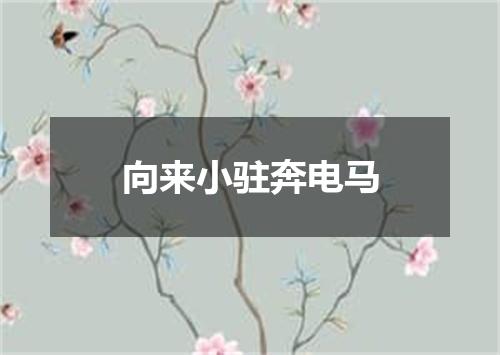 向来小驻奔电马