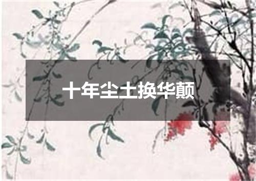 十年尘土换华颠