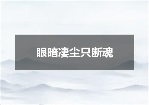 眼暗凄尘只断魂