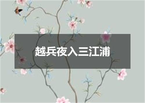 越兵夜入三江浦