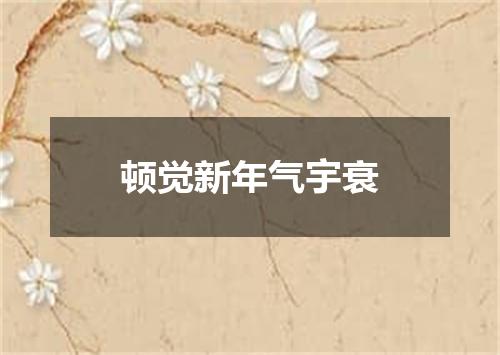 顿觉新年气宇衰