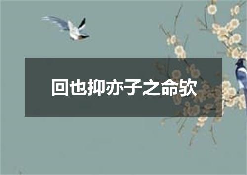 回也抑亦子之命欤