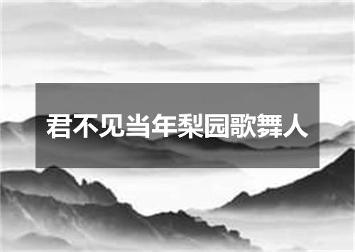 君不见当年梨园歌舞人