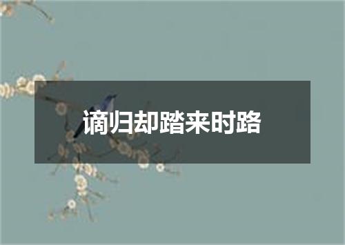 谪归却踏来时路
