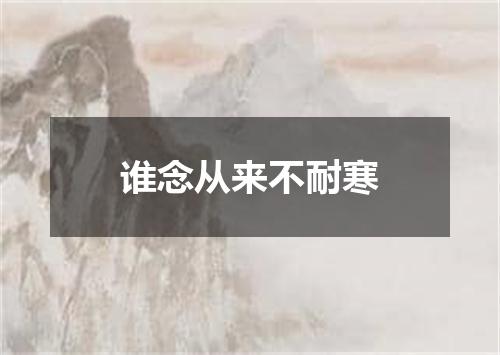 谁念从来不耐寒