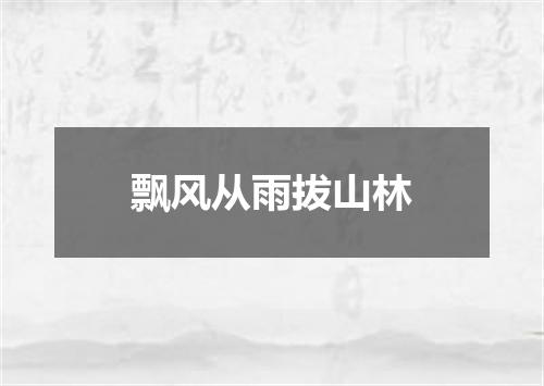 飘风从雨拔山林