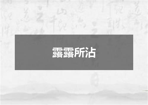 露露所沾