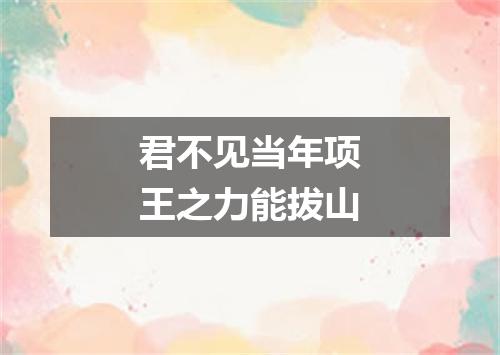 君不见当年项王之力能拔山