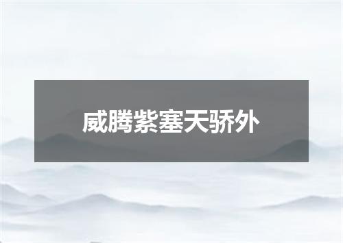 威腾紫塞天骄外