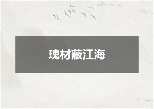 瑰材蔽江海