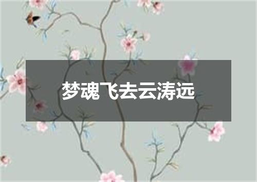 梦魂飞去云涛远