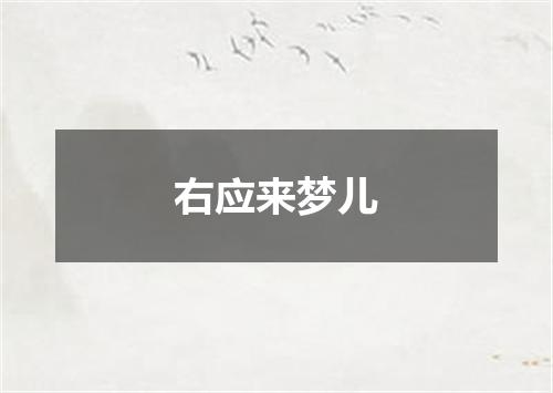 右应来梦儿