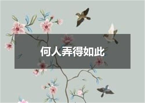 何人弄得如此