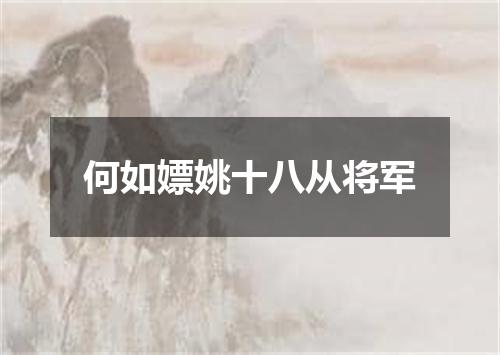 何如嫖姚十八从将军