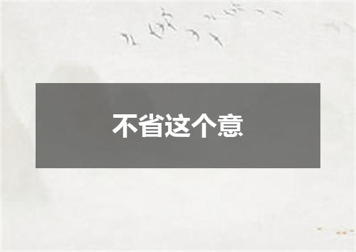 不省这个意