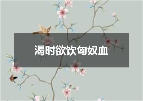 渴时欲饮匈奴血