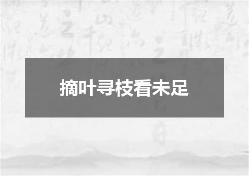 摘叶寻枝看未足