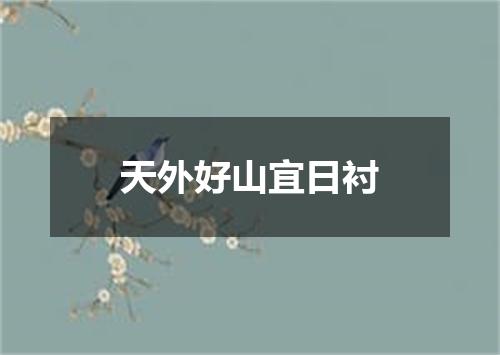天外好山宜日衬