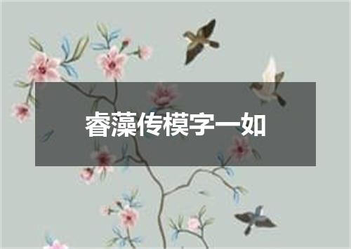 睿藻传模字一如