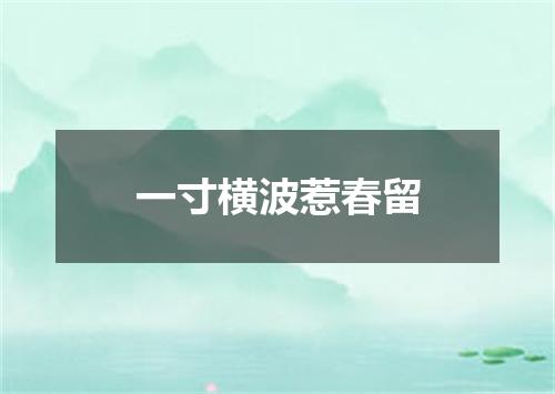 一寸横波惹春留