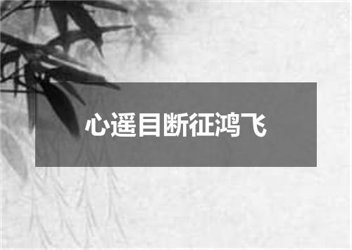 心遥目断征鸿飞